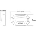 Kohler 26295-G-BN Statement 2F 305Mm/12 Dpmsg Rainheadg