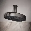 Kohler 26295-G-TT Statement 2F 14 Dpmsg Rainheadg