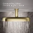 Kohler 26297-AF Statement 2F 18 Dpmsg Rainhead