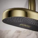 Kohler 26297-AF Statement 2F 18 Dpmsg Rainhead