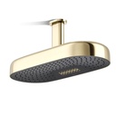 Kohler 26297-AF Statement 2F 18 Dpmsg Rainhead