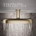 Kohler 26297-BV Statement 2F 18 Dpmsg Rainhead