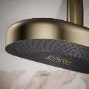 Kohler 26297-BV Statement 2F 18 Dpmsg Rainhead