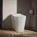 Kohler 28529-0 Leap Smart Toilet