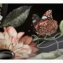 Kohler 30334-DM1-0 Dutchmaster Blush Floral Rectangle Lav