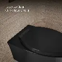 Kohler 31539-7 Veil Wall Hung Eb Bowl