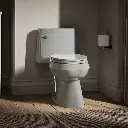 Kohler 3619-95 Cimarron Ch 1-Pc Eb, 1.28 Toilet