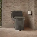 Kohler 4007-58 San Souci 1-Pc Pb, 1.28 Toilet