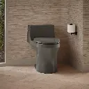 Kohler 5172-58 San Souci Ch 1-Pc Eb, 1.28 Toilet