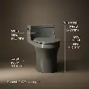 Kohler 5172-58 San Souci Ch 1-Pc Eb, 1.28 Toilet