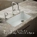 Kohler 5871-5UPC-95 Riverby Sink Single Uc 5U-Hole