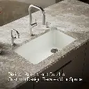 Kohler 5871-5UPC-NY Riverby Sink Single Uc 5U-Hole