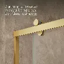 Kohler 702256-10G81-2MB Rely 3/8 Shower Door 77X60 Hdl