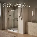 Kohler 709079-10L-BNK Rely 3/8 Shower Door 77X60 Hdl,Sn