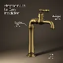 Kohler 72763-9M-2MB Artifacts Gentlemen'S Lavatory Faucet