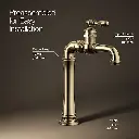Kohler 72763-9M-AF Artifacts Gentlemen'S Lav Faucet