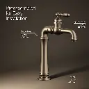Kohler 72763-9M-BV Artifacts Gentlemen'S Lav Faucet