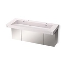 Kohler 81032-BSS-KES Constellation Vanity 60 Trough Dm