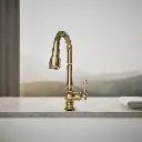 Kohler 99261-AF Artifacts 1H Secdry W/Pd Spry