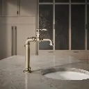 Kohler 99268-BV Artifacts Gentleman'S Bar Faucet