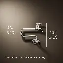 Kohler 99270-SN Artifacts Wall Mount Pot Filler