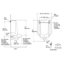 Kohler 25048-ER-0 Stanwell Rear Spud, Blowout Urinal
