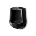Kohler 4989-T-7 Freshman Lite Urinal-Top Spud