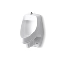 Kohler 5016-ET-0 Dexter Elongated Urinal With Top Spud