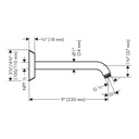 Hansgrohe 04826250 Showerarm 9"