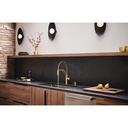 Brizo 63121LF-PNLHP Articulating Kitchen Faucet 1L