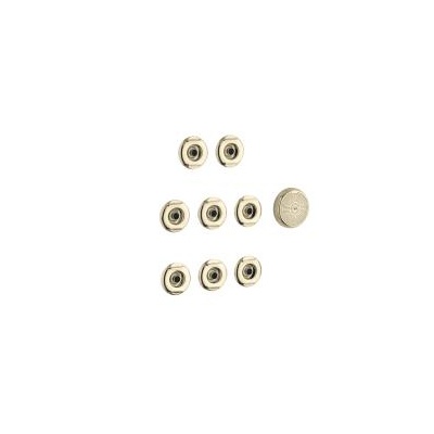 Kohler 9698-AF Flexjet Whirlpool Trim Kit With Eight Jets 1