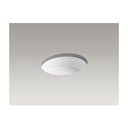 Kohler 2881-0 Verticyl Oval Under-Mount Bathroom Sink 1