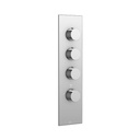Aquabrass SR3395 Trim Set For 12003 1/2 And 3003 3/4 Thermostatic Valves Brushed Nickel 1