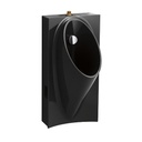 Kohler 5244-ET-7 Steward Hybrid High-Efficiency Urinal With 3/4 Top Spud 3