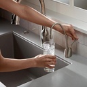ISE F-HC1100SN  Faucet - Satin Nickel 2