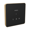 Brizo 8CN-220L-PG-L Mystix Square Exterior Steam Control Lumicoat Polished Gold