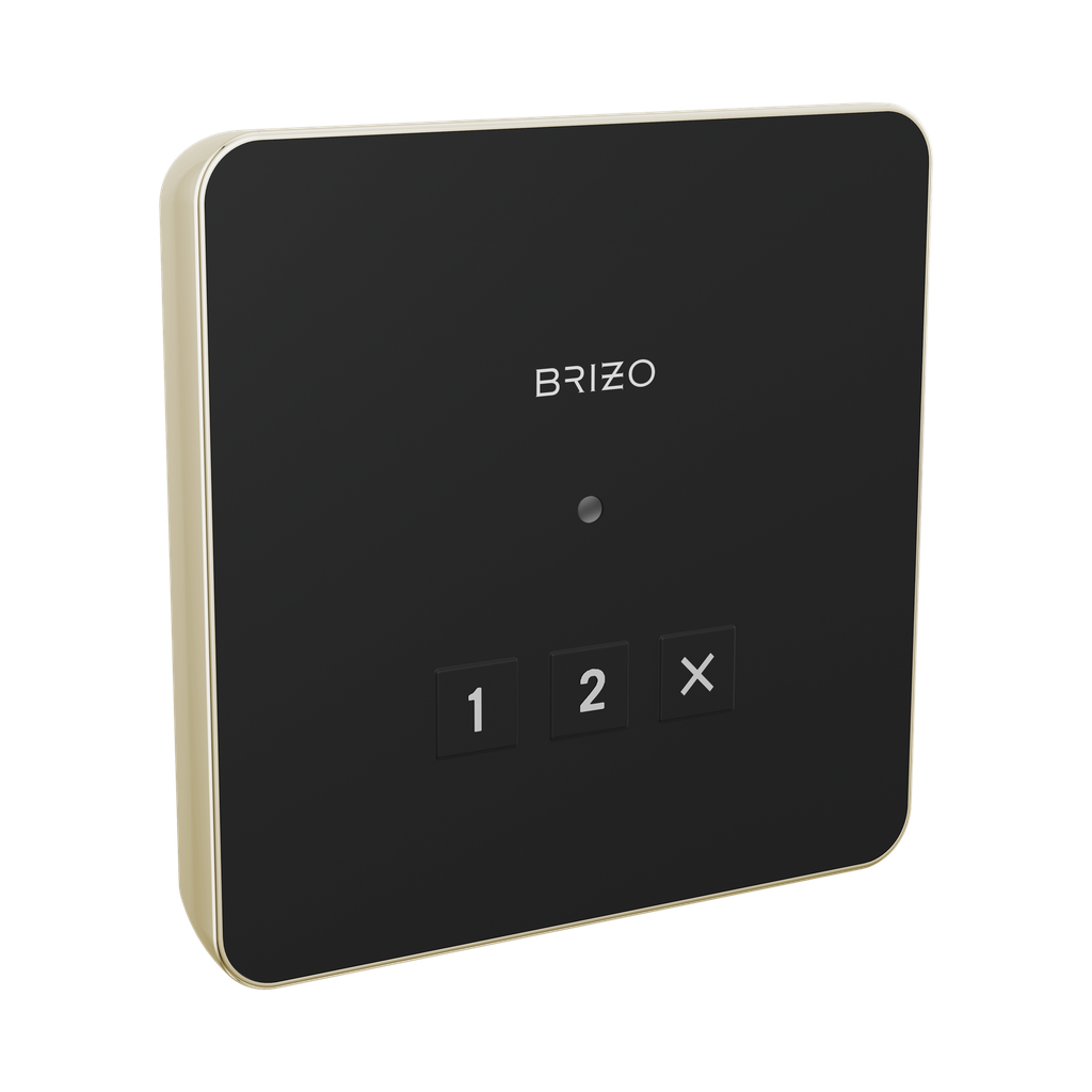 Brizo 8CN-220L-PN-L Mystix Square Exterior Steam Control Lumicoat Polished Nickel