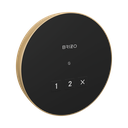 Brizo 8CN-220R-PG-L Mystix Round Exterior Steam Control Lumicoat Polished Gold