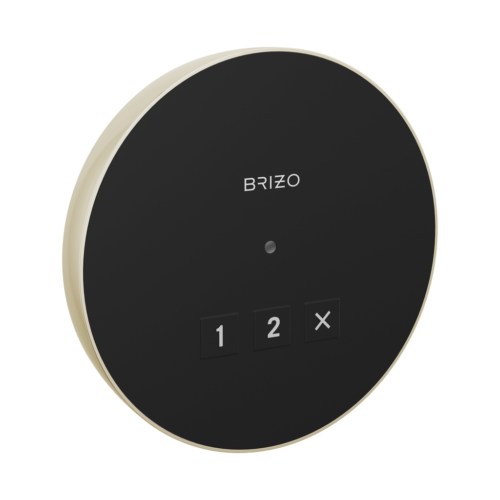 Brizo 8CN-220R-PN-L Mystix Round Exterior Steam Control Lumicoat Polished Nickel
