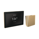 Brizo 8CH-600S-PG-L Mystix Square Steam Control And Head Lumicoat Polished Gold