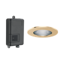 Brizo 8SP-MU-4-PG-L Mystix Chromatherapy Module And Ring Lumicoat Polished Gold