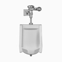 Sloan WEUS-1006.1331 10061331 SU-1009 Urinal and SLOAN 186 ESS Flushometer