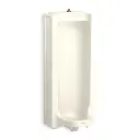 Kohler 25039-T-96 Branham Full Stall Washout Urinal With Top Spud Biscuit