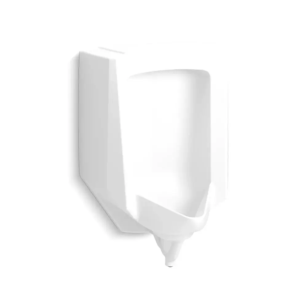 Kohler 25048-ER-0 Stanwell Rear Spud Blowout Urinal White