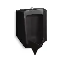 Kohler 25048-ET-7 Stanwell Top Spud Blow Out Half Stall Urinal Black