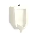 Kohler 25048-ET-96 Stanwell Top Spud Blowout Urinal Biscuit