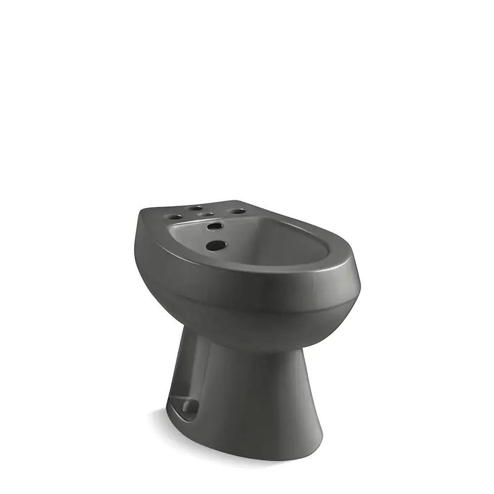 Kohler 4854-58 San Tropez Vertical Spray Bidet Thunder Grey