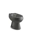 Kohler 4854-58 San Tropez Vertical Spray Bidet Thunder Grey