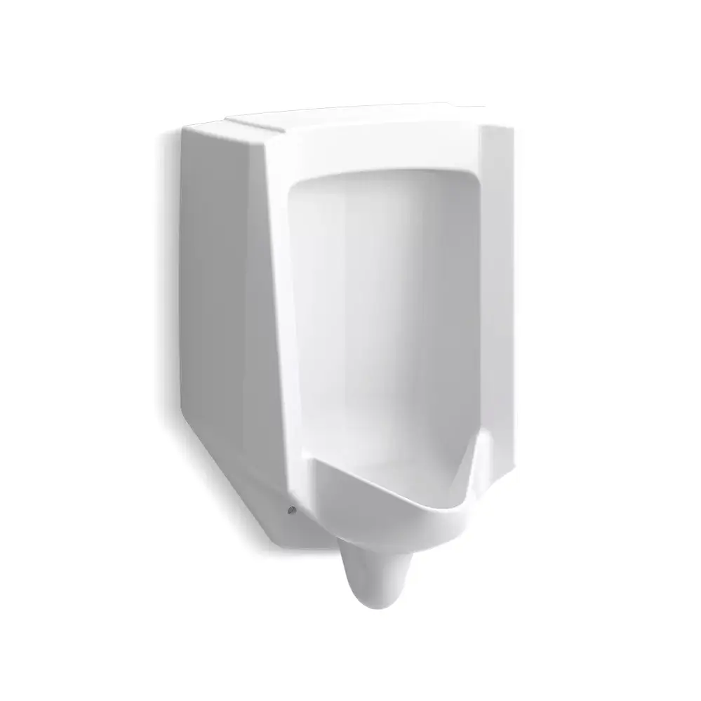 Kohler 4991-ER-0 Bardon Accuflush Rear Spud Urinal White