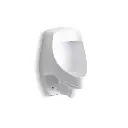 Kohler 5016-ER-0 Dexter Accuflush Rear Spud Urinal White